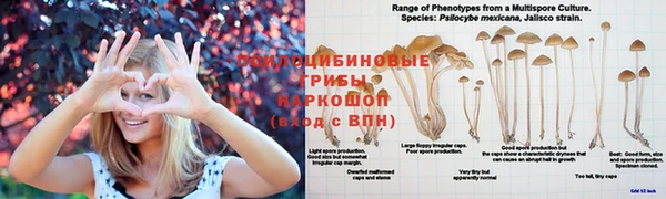 МДМА Покров