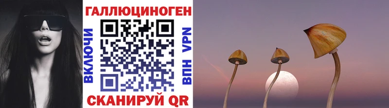 Галлюциногенные грибы Psilocybe закладка Алейск